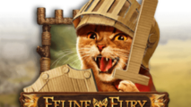Feline Fury
