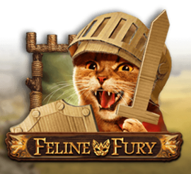 Feline Fury