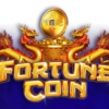 Fortune Coin