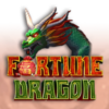 Fortune Dragon