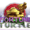 Fortune Turtle