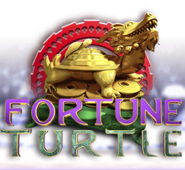 Fortune Turtle