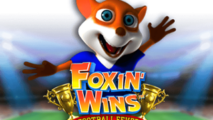 Foxin Wins Football Fever