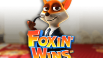 Foxin Wins HQ