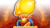 Fruit Collector