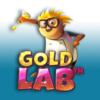 Gold Lab