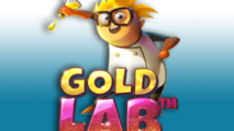 Gold Lab