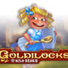 Goldilocks and the Wild Bears