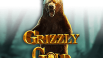 Grizzly Gold