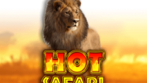 Hot Safari