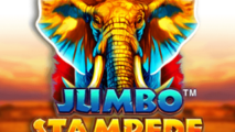 Jumbo Stampede