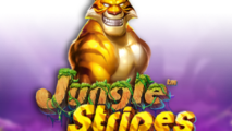 Jungle Stripes