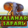 Kalahari Safari