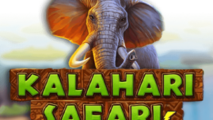 Kalahari Safari