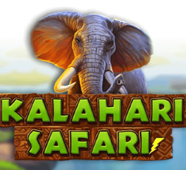 Kalahari Safari