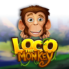 Loco the Monkey