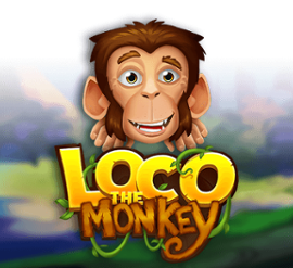 Loco the Monkey