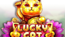Lucky Cat
