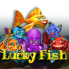 Lucky Fish