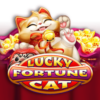 Lucky Fortune Cat