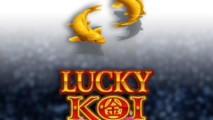 Lucky Koi