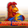 Lucky Rooster