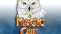 Magic Owl
