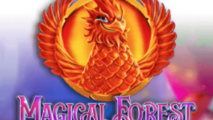 Magical Forest