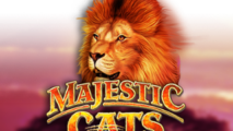 Majestic Cats