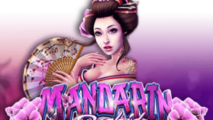 Mandarin Orchid