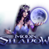 Moon Shadow