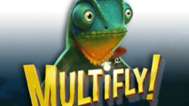 Multifly!
