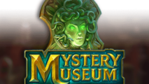 Mystery Museum