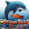 Ocean Reef
