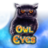Owl Eyes