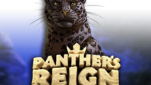 Panther’s Reign