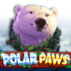 Polar Paws
