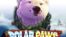 Polar Paws