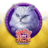 Pretty Kitty