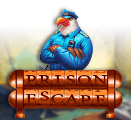 Prison Escape