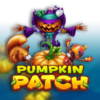 Pumpkin Patch