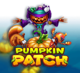 Pumpkin Patch