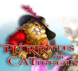 Purrates of the Catibbean
