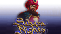Sahara Nights