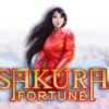 Sakura Fortune