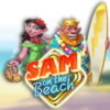 Sam on the Beach