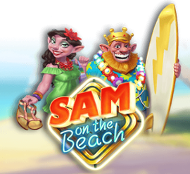 Sam on the Beach