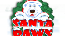 Santa Paws