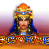 Scarab