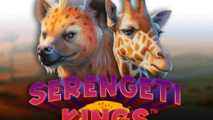 Serengeti King